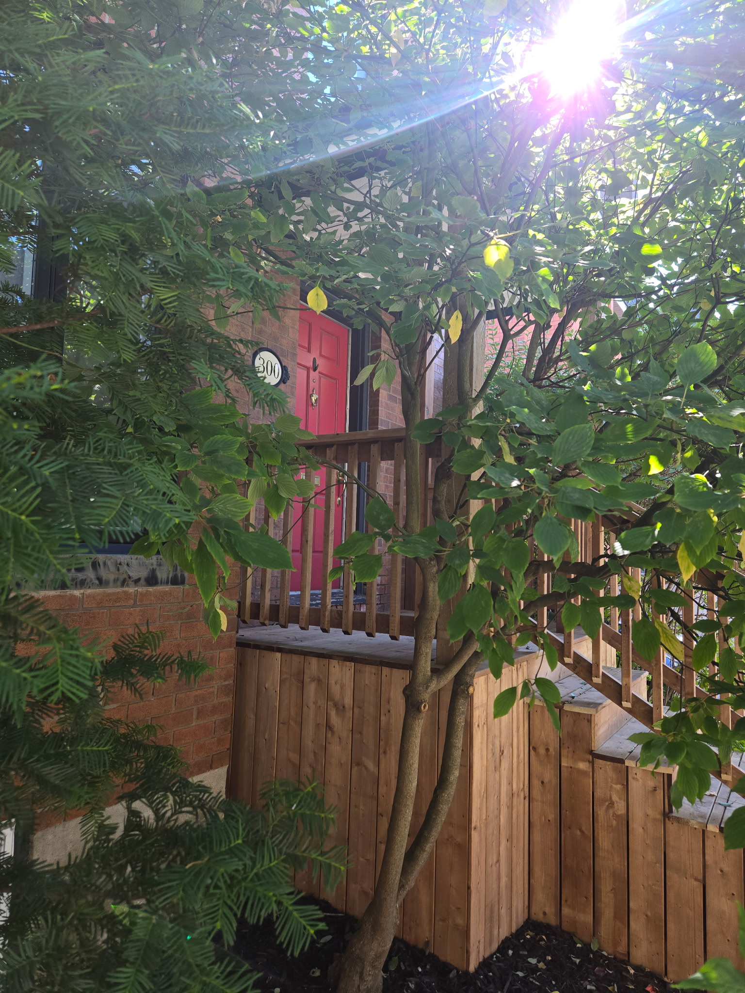 picture for slideshow